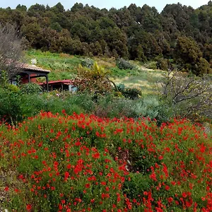 https://villa-casa-el-retiro-en-mazo.in-canary-islands.com